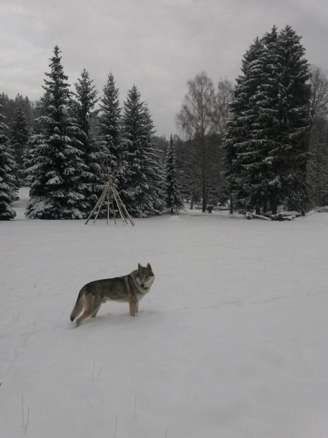 Hotel Ceska Farma Dolni Dvur ภายนอก รูปภาพ