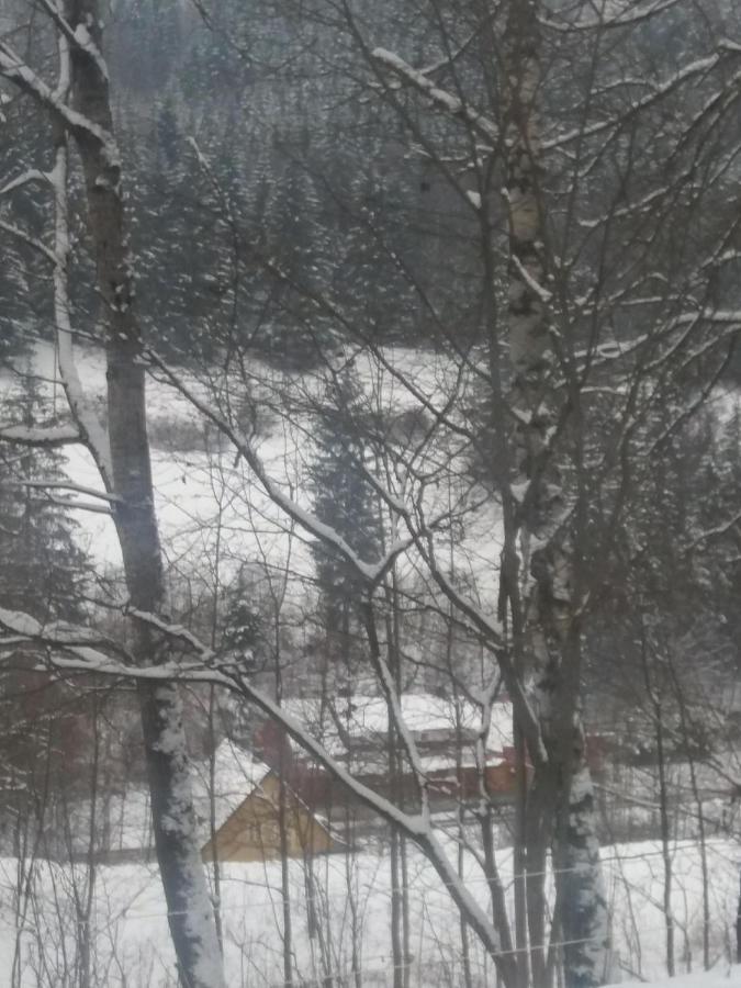Hotel Ceska Farma Dolni Dvur ภายนอก รูปภาพ